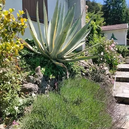 Rocca Fiorita - Casetta Indipendente Con Giardino E Parcheggio Baiardo