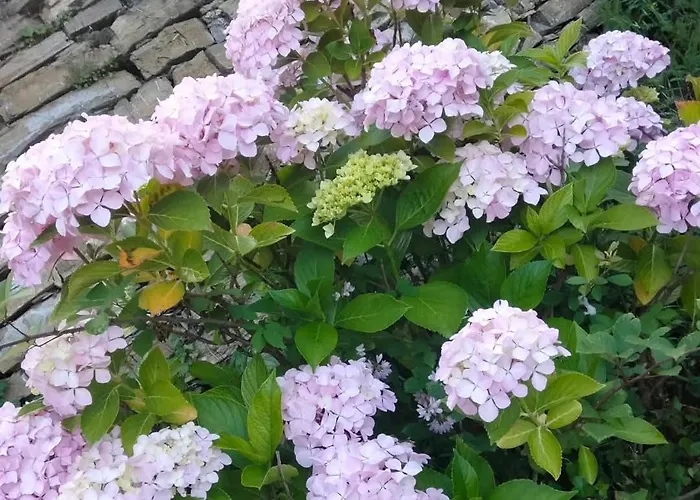 Lejlighed Rocca Fiorita - Casetta Indipendente Con Giardino E Parcheggio